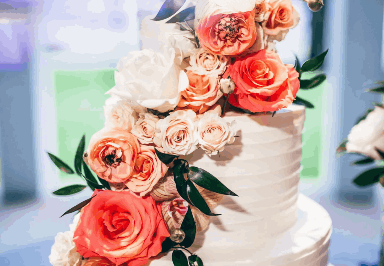 jpeg optimizer fabasweetshop e1785870570444